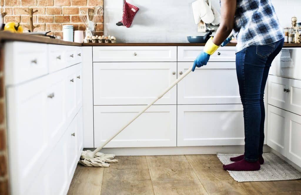 professional cleaning company
