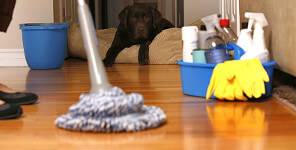 Do I need A Deep Cleaning