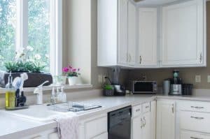 Cleaning Kitchen Appliances
